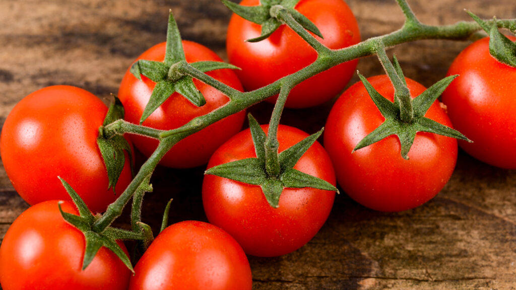 Pomodoro Cia Puglia Con La Dop Pugliese Pi Redditivit Per Gli   Pomodoro Pachino Dani 1600x900 1024x576 